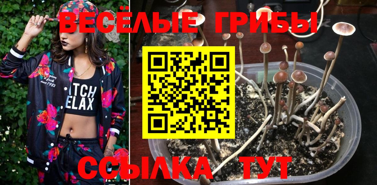 Псилоцибиновые грибы Magic Shrooms Мелеуз