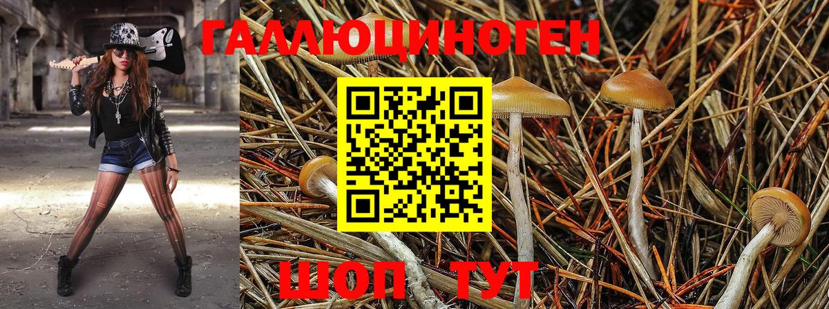 Галлюциногенные грибы GOLDEN TEACHER  Вход с VPN  Мелеуз 